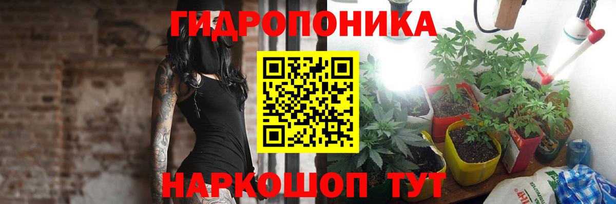 Воскресенск  Канабис Bruce Banner  Канабис сатива  Бошки Шишки планчик  Вход с VPN 
